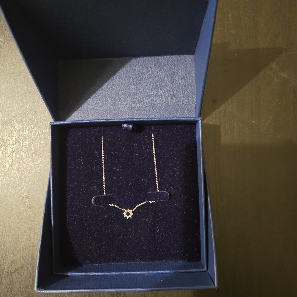Blue Nile Diamond Solid 14k White Gold Snowflake Pendant Necklace